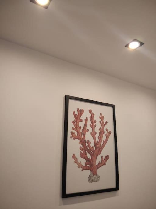 Dimora Cutelli Daire Katanya Dış mekan fotoğraf